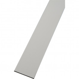 Plat PVC blanc 40mmx2.5mm longueur de 6 mètres