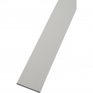 Plat PVC blanc 110mmx2.5mm longueur de 6 mètres